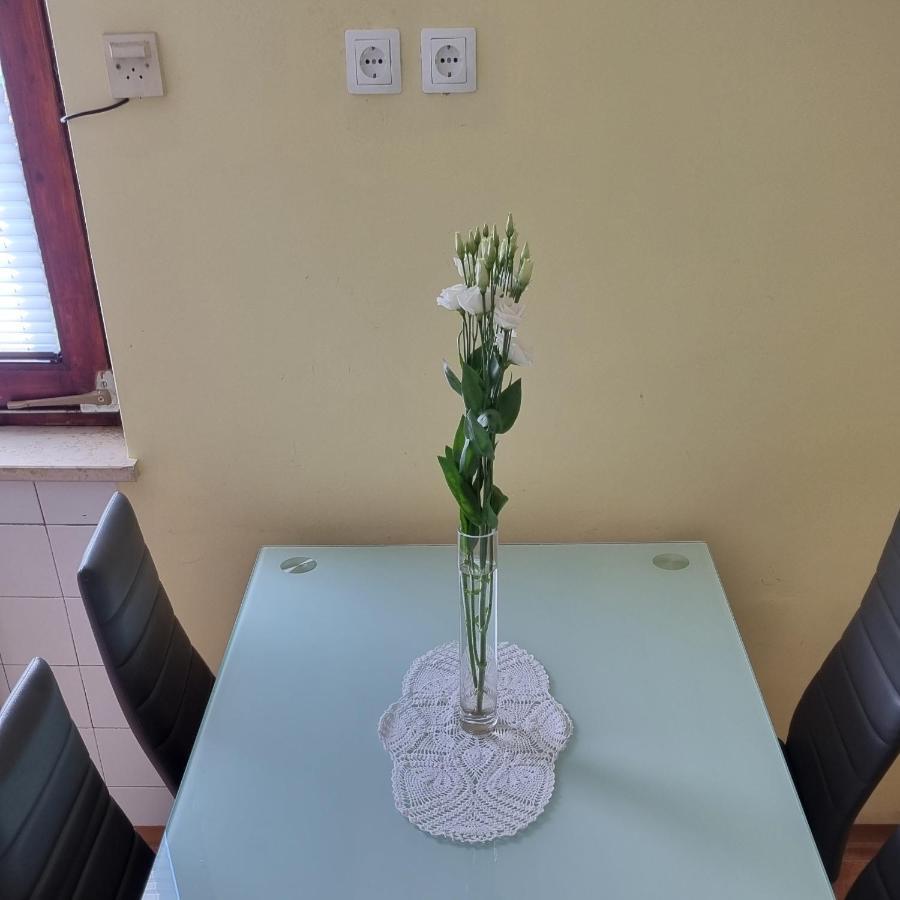 Apartma Tanja -Kamnik Ngoại thất bức ảnh